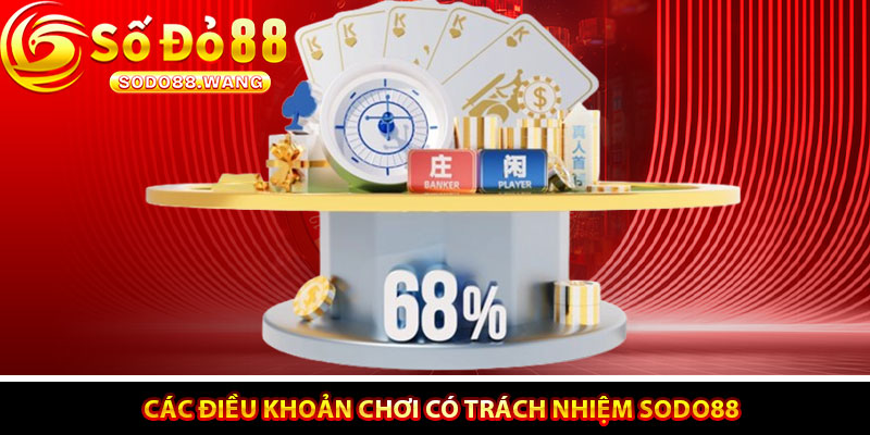 Các Điều Khoản Chơi Có Trách Nhiệm Sodo88