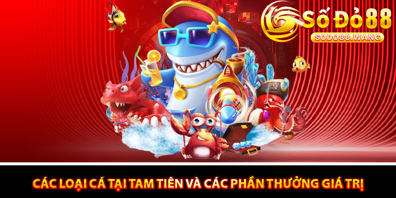 Các loại cá tại Tam Tiên và các phần thưởng giá trị và phong phú