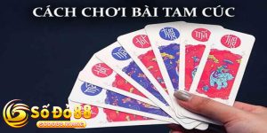 Cách Chơi Bài Tam Cúc Dễ Hiểu, Hiệu Quả Tại Sodo88