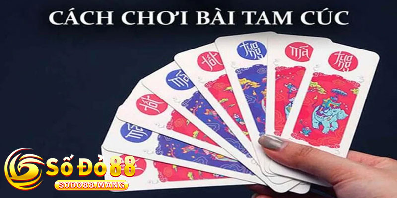 Cách Chơi Bài Tam Cúc Dễ Hiểu, Hiệu Quả Tại Sodo88