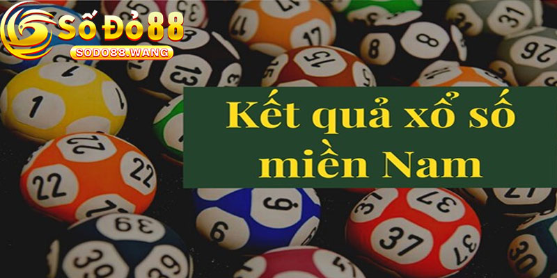 Chỉ dựa vào cảm tính thay vì phân tích dữ liệu