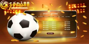 Keo Ca Cuoc Bong Da – Hinh Thuc Cuoc Mang Ve Thu Nhap