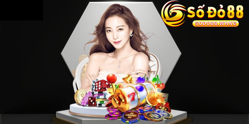 Quyền lợi của VIP