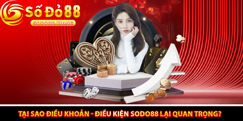 Tại Sao Điều Khoản - Điều Kiện Sodo88 Lại Quan Trọng?