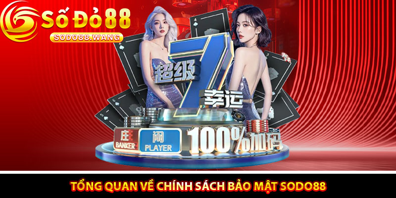 Tổng Quan Về Chính Sách Bảo Mật Sodo88
